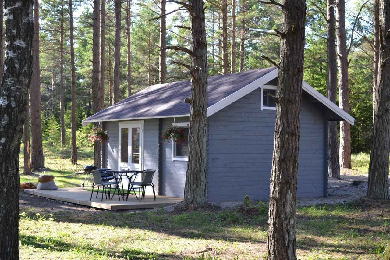 Ungru Holiday Houses Suuresadama Rum bild